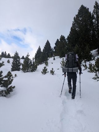 Mochila Trekking Hombre 70+10L Negra