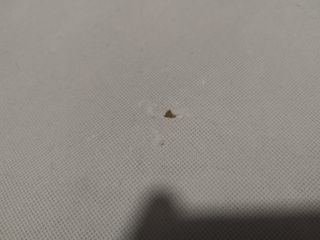 Colchón Plegable Tela Gris