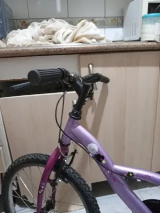 Bicicleta mediana morada