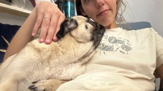 Cuidadora para perros, gatos, conejos... mascotas