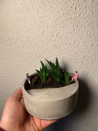 Vaso di cemento! Decorazione