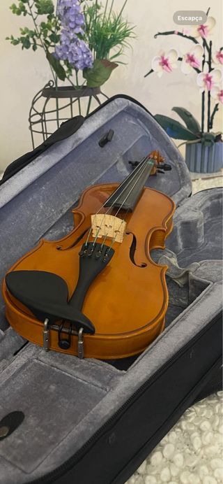 Violín 1/4 Stradella MV141114