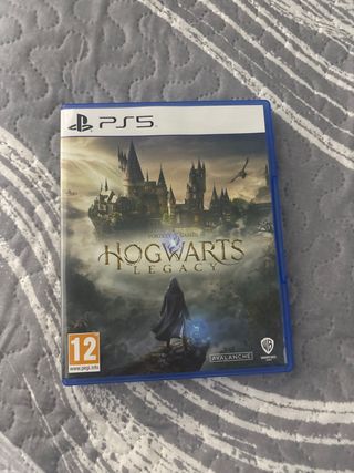 Hogwarts Legacy PS5