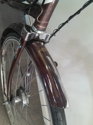 Bicicleta tándem holandes