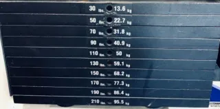 Magnum Fitness Curl Predicador