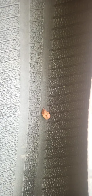 Neumático Trasero Metzeler Roadtec Z6 180/55 ZR 17