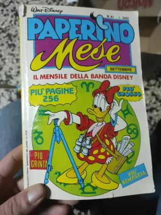 Paperino mese