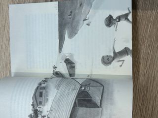 La caja de los tesoros