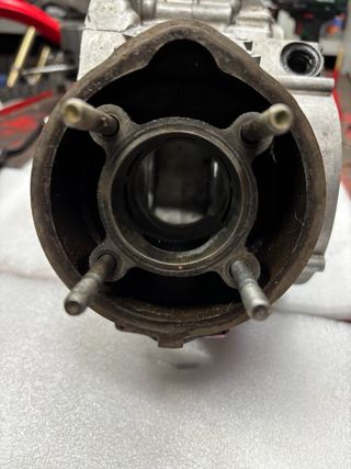 Carter am6 con top rosa