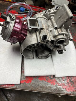 Carter am6 con top rosa