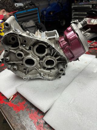 Carter am6 con top rosa