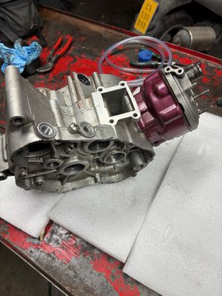 Carter am6 con top rosa