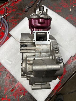 Carter am6 con top rosa