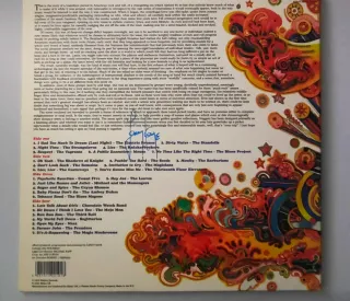 Nuggets: Original Artyfacts 1965-1968