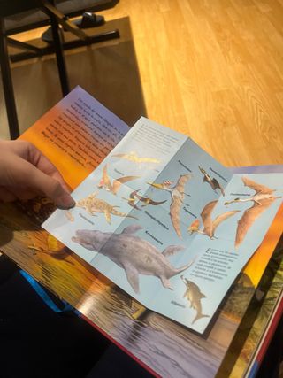 Los dinosaurios (Viaja A La Época De...) (Spani...