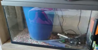 Pecera completa con motor, luz y piedras