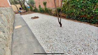 Realizamos talas y podas en altura.