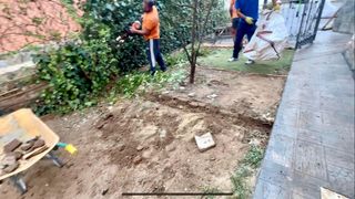 Realizamos talas y podas en altura.