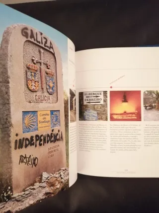 Il Cammino di Santiago. Ediz. illustrata