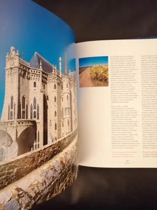 Il Cammino di Santiago. Ediz. illustrata