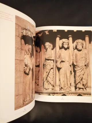 Il Cammino di Santiago. Ediz. illustrata