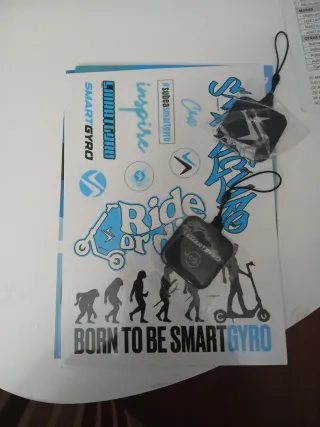 Patinete Eléctrico Smartgyro Rockway Evo