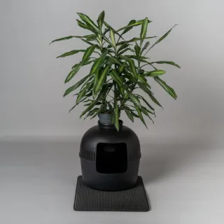 Casa para gato negra