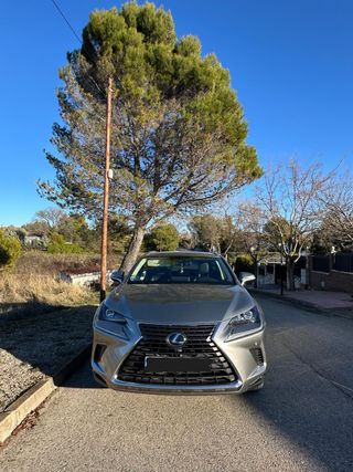 Lexus NX 2020
