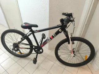 Bicicleta Infantil R24