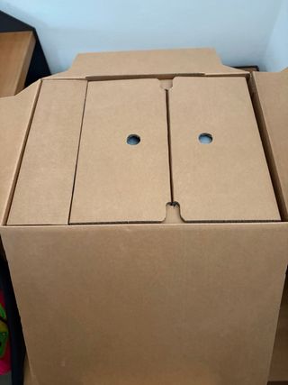 Filtro Oase BioMaster Pro Thermo 250