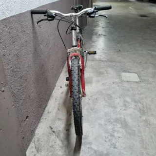 Bicicleta de Montaña Globe Trotter