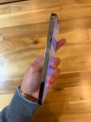 iPhone 13 Pro Max 256GB Oro