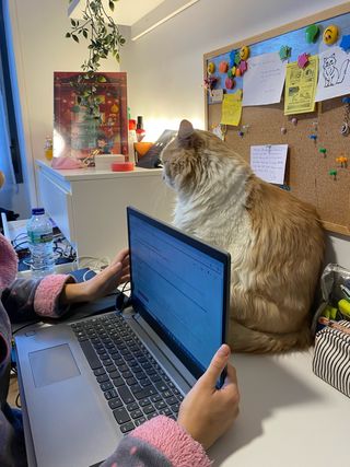 Clases particulares Primaria y ESO