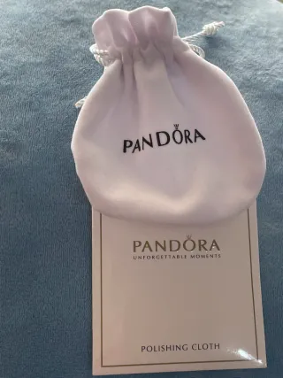 Charm Zapato Cenicienta