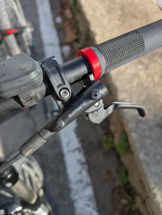 Bicicletta Elettrica MTB