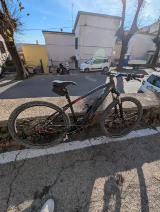Bicicletta Elettrica MTB