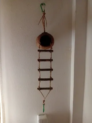 Pack nido+hamaca para agapornis/periquitos