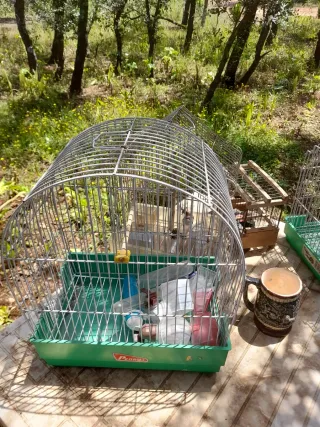 Jaulas para pájaros