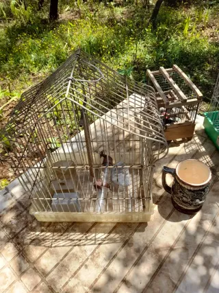 Jaulas para pájaros