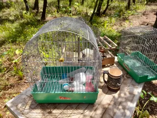 Jaulas para pájaros