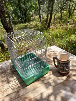 Jaulas para pájaros