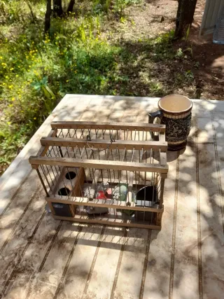 Jaulas para pájaros