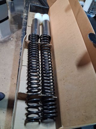 Muelles Suspensión Delantera Harley Davidson