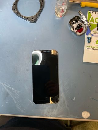 iPhone 12 Pro Max 256 GB