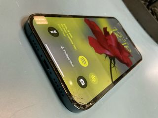 iPhone 12 Pro Max 256 GB