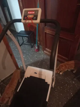 Cinta de correr DOMYOS Initial Run