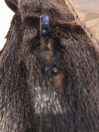 Abrigo piel potro marrón