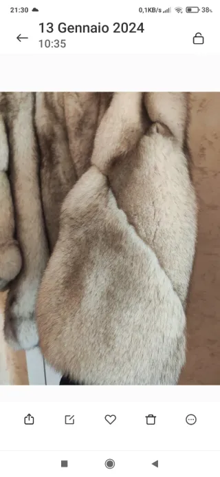 Pelliccia donna volpe argentata