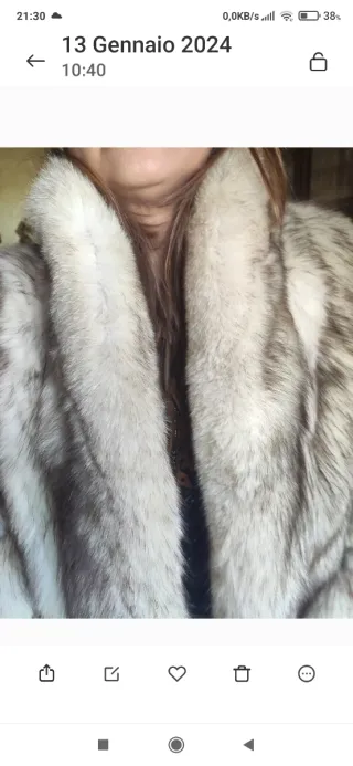 Pelliccia donna volpe argentata
