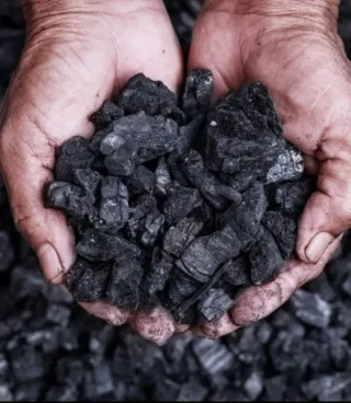 Vale de carbón de 300kg